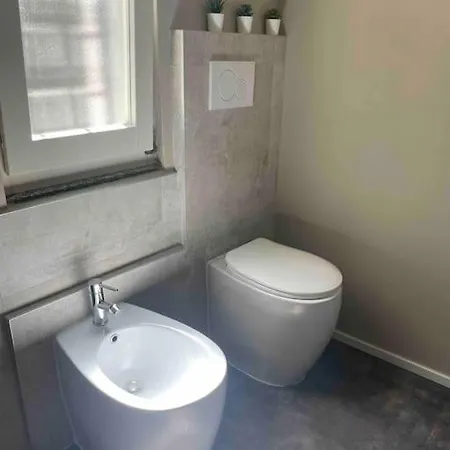 Daire Cucchiari 2 Tipo *